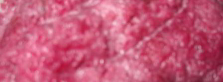 бутерброды закусочные с сельдью. Шаг 4