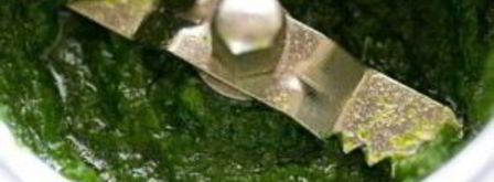 горячий бутерброд с чатни. Шаг 2