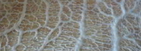 домашняя колбаса в свиной сетке. Шаг 3