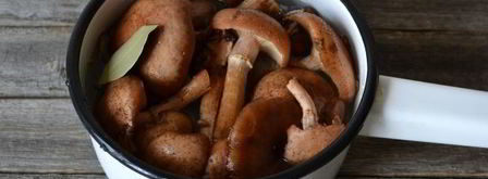 икра из опят замороженная. Шаг 5