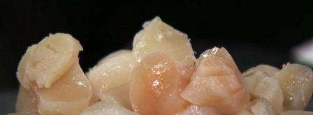 карпаччо из гребешка с кальмаром. Шаг 3