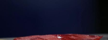 карпаччо из гребешка с кальмаром. Шаг 5