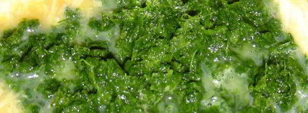 закуска из омлета, сыра и красной рыбы. Шаг 3