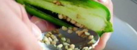 острая закуска из перчиков. Шаг 3