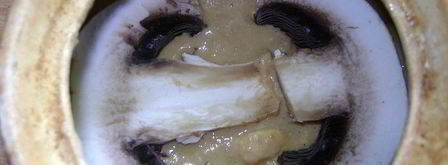 паштет фуа-гра. Шаг 9