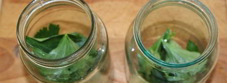 помидоры с сельдереем. Шаг 3