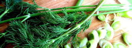 маринованные роллы из молодых кабачков. Шаг 3