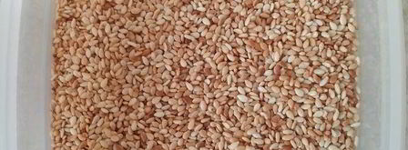 роллы разбитое сердце самурая. Шаг 5