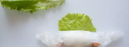 спринг-роллы с кальмарами и тунцом. Шаг 14