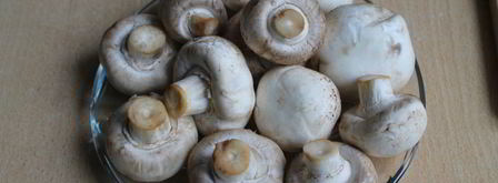 кабачковый рулет с грибами. Шаг 9