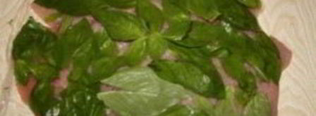 мясной рулет из индейки. Шаг 2