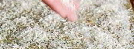 рулет из шпината. Шаг 5