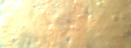 рулет леопард. Шаг 10