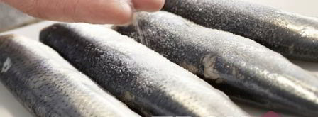 селедка маринованная. Шаг 2