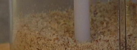 миндальные тарталетки со сливовым соусом. Шаг 5