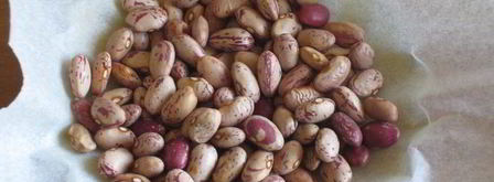 тарталетки с овощами и йогуртовой заливкой. Шаг 5