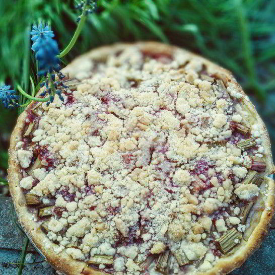 Рецепт ревеневого тарта с ванильным пудингом и штройзелем