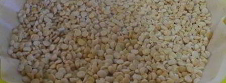 тарт черешневый бум. Шаг 6