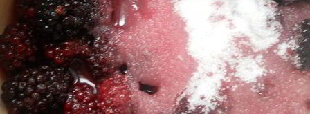 тарт с ежевикой, ревенем и руколой. Шаг 8