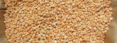 тарт с ежевикой, ревенем и руколой. Шаг 9