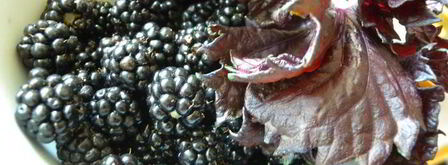 тарт с клубникой с розмарином и ежевикой с базиликом двойное удовольствие. Шаг 5