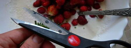 тарт с клубникой с розмарином и ежевикой с базиликом двойное удовольствие. Шаг 9