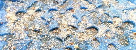 яблочно-грушевый тарт татен. Шаг 11